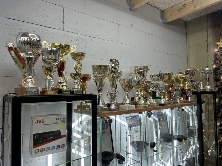 ArtSound karikad meist 3